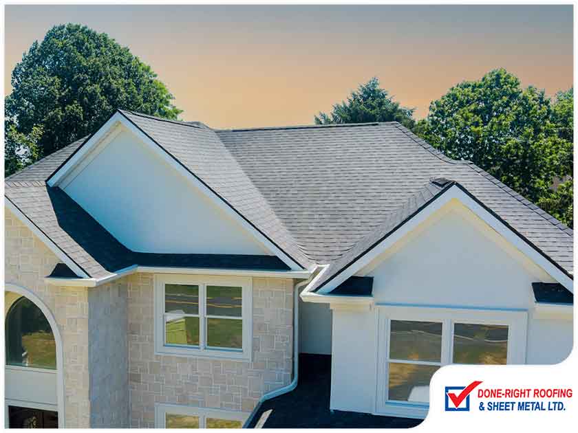 Roof This Spring
